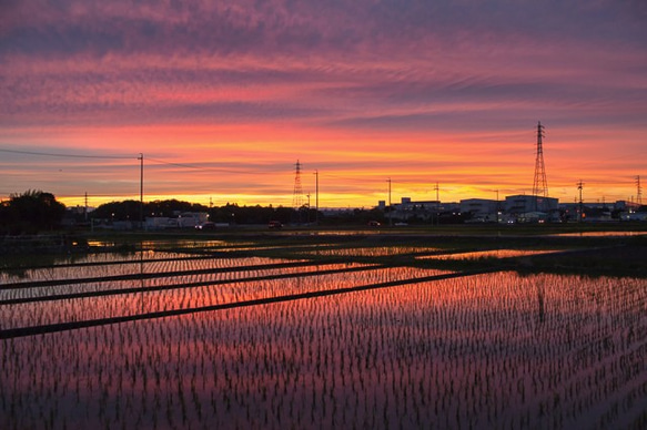 Daily Photo 0005　夕焼け　2Lサイズ 1枚目の画像