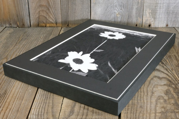 A4 美術照片 002 花卉啞光面板飾面單色黑白照片室內照片銷售郵購 第4張的照片