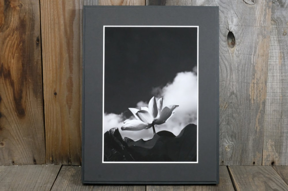 A4 美術照片 005 蓮花天空雲霧面板飾面單色黑白照片室內照片銷售郵購 第1張的照片
