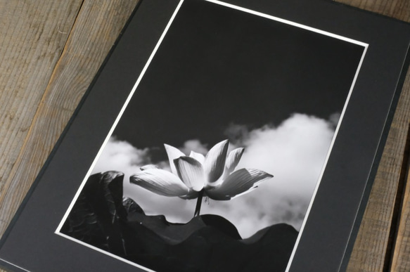 A4 美術照片 005 蓮花天空雲霧面板飾面單色黑白照片室內照片銷售郵購 第6張的照片