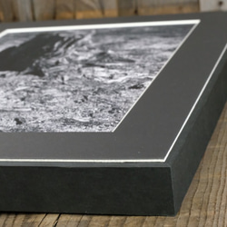 A4 美術照片 006 樹樁啞光面板飾面單色黑白照片室內照片銷售郵購 第8張的照片