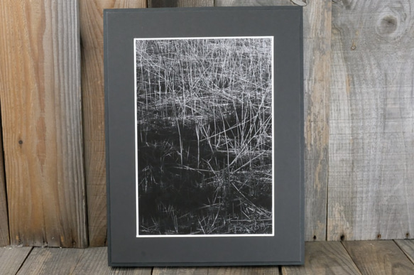 A4 美術照片 007 蘆葦啞光面板飾面單色黑白照片室內照片銷售郵購 第1張的照片
