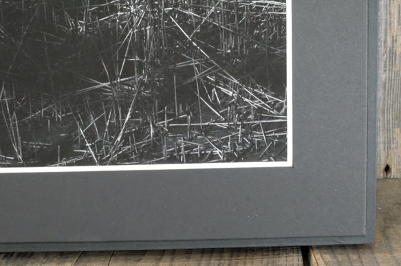 A4 ファインアート写真　007　葦　マットパネル仕上　モノクロ　白黒写真　インテリアフォト　販売　通販 3枚目の画像