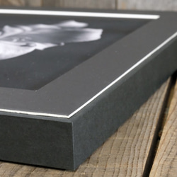 A4 美術照片 008 Yamayuri 花卉啞光面板飾面單色黑白照片室內照片銷售郵購 第6張的照片