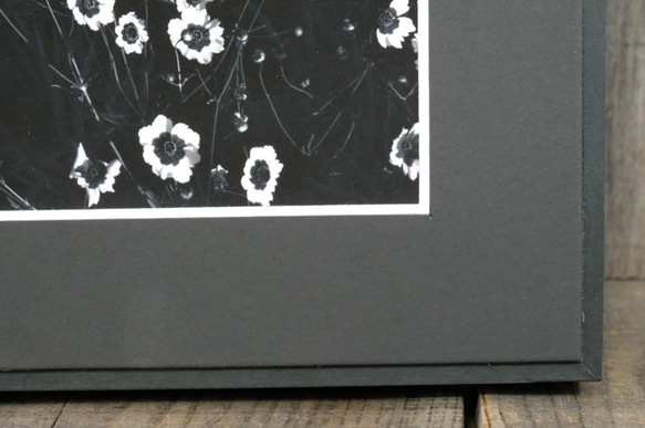 A4 美術照片 009 花田小花啞光面板飾面單色黑白照片室內照片銷售郵購 第3張的照片