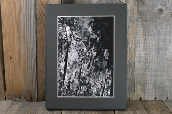 A4 ファインアート写真　010　岩壁　落ち葉　マットパネル仕上　モノクロ　白黒写真　インテリアフォト　販売　通販 1枚目の画像