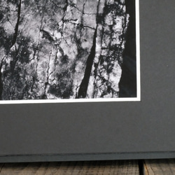 A4 ファインアート写真　010　岩壁　落ち葉　マットパネル仕上　モノクロ　白黒写真　インテリアフォト　販売　通販 3枚目の画像