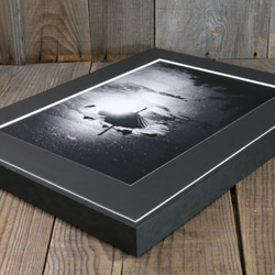 A4 美術照片 011 蓮花枯葉 Ikemitsu 啞光面板飾面單色黑白照片室內照片銷售郵購 第5張的照片