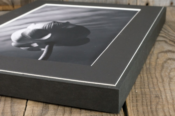 A4 ファインアート写真　012　蓮の花　蕾　空　雲　マットパネル仕上　モノクロ　白黒写真　インテリアフォト　販売　通販 5枚目の画像