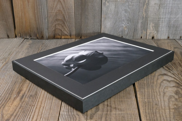 A4 ファインアート写真　012　蓮の花　蕾　空　雲　マットパネル仕上　モノクロ　白黒写真　インテリアフォト　販売　通販 7枚目の画像