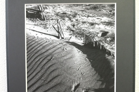 A4 美術照片 020 沙丘風峰鳥足跡磨砂面板單色黑白照片室內照片銷售郵購 第2張的照片