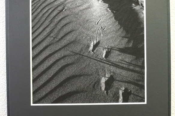 A4 美術照片 020 沙丘風峰鳥足跡磨砂面板單色黑白照片室內照片銷售郵購 第3張的照片