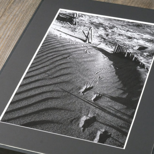 A4 ファインアート写真 020 砂丘 風紋 鳥の足跡 マットパネル