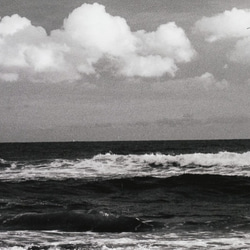 A4 美術照片 021 海天雲波浪磨砂面板飾面單色黑白照片室內照片銷售郵購 第9張的照片