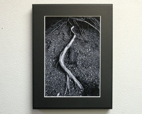 0_fd20e708edbb42063a25523dfdcf