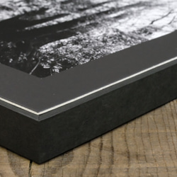 A4 ファインアート写真　024　森　樹　光　輝き　マットパネル　モノクロ　白黒　販売　通販 5枚目の画像