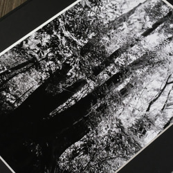 A4 美術照片 024 Mori Kikou Shine 啞光面板單色黑白銷售郵購 第6張的照片