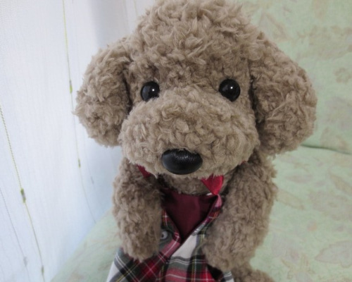 1_09cf1f99be774d5d76718a629ae8