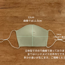 最終2枚　2022年春マスク　ピスタチオ色　リネン100% 3Dマスク　二枚仕立て ゴムのないマスク 4枚目の画像