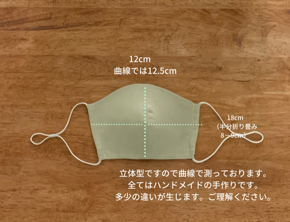 最終2枚　2022年春マスク　ピスタチオ色　リネン100% 3Dマスク　二枚仕立て ゴムのないマスク 4枚目の画像