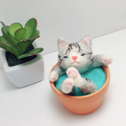 【温かいスープ陶器】ウールフェルトアニマルスープ鍋 - 横柄な猫おじ 3枚目の画像