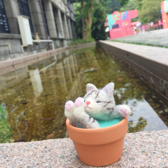 【暖湯樂陶陶】羊毛氈動物湯盆 - 霸氣貓大爺 第4張的照片