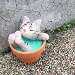 【温かいスープ陶器】ウールフェルトアニマルスープ鍋 - 横柄な猫おじ 5枚目の画像