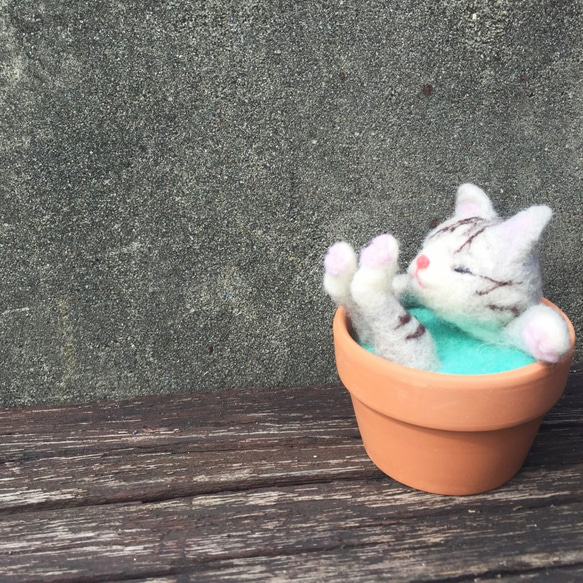 【温かいスープ陶器】ウールフェルトアニマルスープ鍋 - 横柄な猫おじ 6枚目の画像
