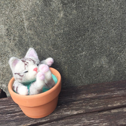 【温かいスープ陶器】ウールフェルトアニマルスープ鍋 - 横柄な猫おじ 7枚目の画像