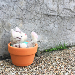 【温かいスープ陶器】ウールフェルトアニマルスープ鍋 - 横柄な猫おじ 8枚目の画像