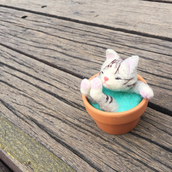 【温かいスープ陶器】ウールフェルトアニマルスープ鍋 - 横柄な猫おじ 9枚目の画像