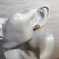 【再…再販】白蝶貝のシェルピアス 5枚目の画像