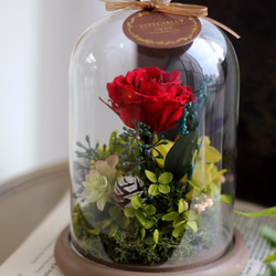 花とギフトのデザインアマランス[シリーズ]温家宝ク・ブラウン木製の花のガラスカバー 1枚目の画像
