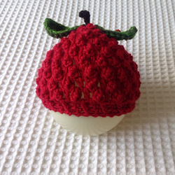 フルーツ帽（リニューアル赤リンゴ） 1枚目の画像
