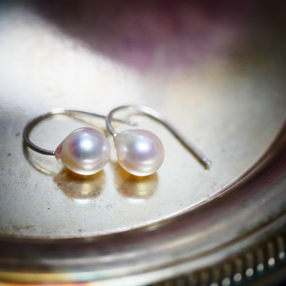 SV925 Akoya Pearl Earrings 第4張的照片