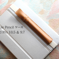 本革】Apple PencilケースiPad Pro10.5&9.7用 黄土色（ベルトベージュ