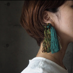 奄美大島ササントの耳飾り２ 1枚目の画像