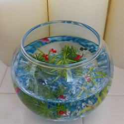 金魚鉢 丸いグラス レジン 1枚目の画像