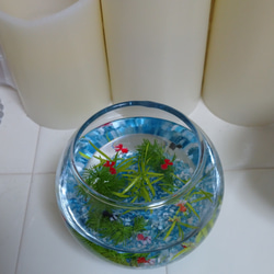 金魚鉢 丸いグラス レジン 3枚目の画像