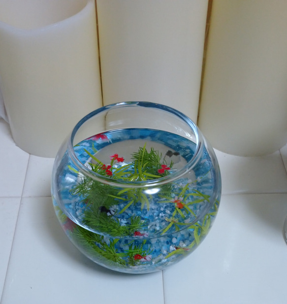 金魚鉢 丸いグラス レジン 4枚目の画像