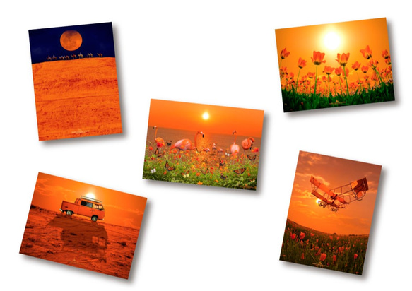 【ポストカード（5枚組）】「創造のオレンジ達」 1枚目の画像