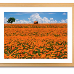 A3サイズ】ORANGE ON THE ORANGEO （オレンジの上のオレンジ