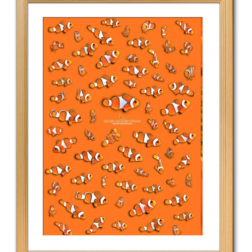 A3サイズ】オレンジファイティング・ニモ（オレンジ） 写真