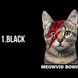 MEOWVID BOWIE［Tシャツ］WEART 3枚目の画像