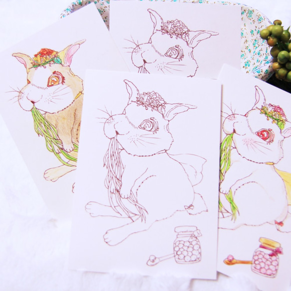 花醬兔 彩繪你的心意 森林小兔子著色明信片著色卡 第6張的照片