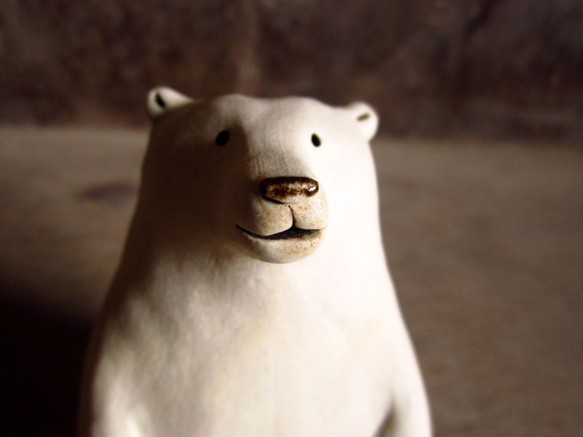 小陶偶-世界上的八種熊之北極熊 第5張的照片