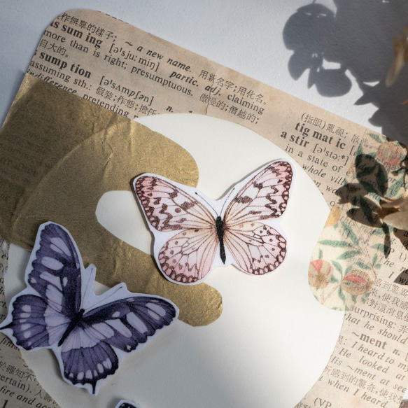 幻想的な蝶 ー 5cm マスキングテープ 5枚目の画像