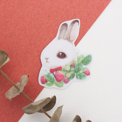 透明貼紙 - Bunny and Floral兔子與花 - 7款套裝 - 防水、防刮、防曬 第6張的照片