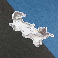 透明貼紙 - 中二貓影 - 8款套裝 - 防水、防刮、防曬 第10張的照片