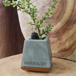 Greenology 水泥梯形立方花器 第4張的照片
